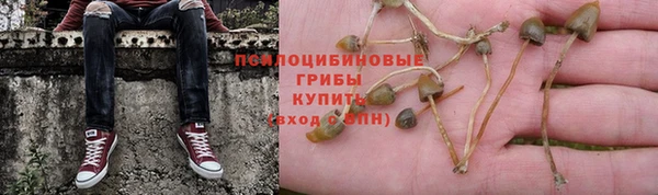 ECSTASY Армянск