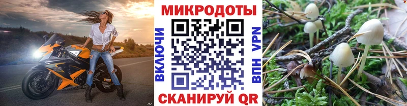 Псилоцибиновые грибы Magic Shrooms  купить наркотики сайты  Усть-Джегута 